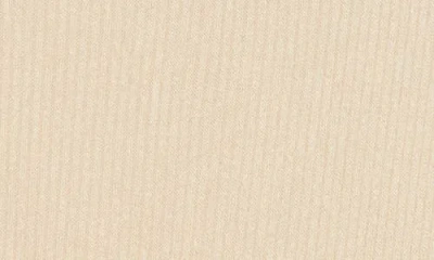 Renee C Off The Shoulder Long Sleeve Rib Knit Top In Neutral