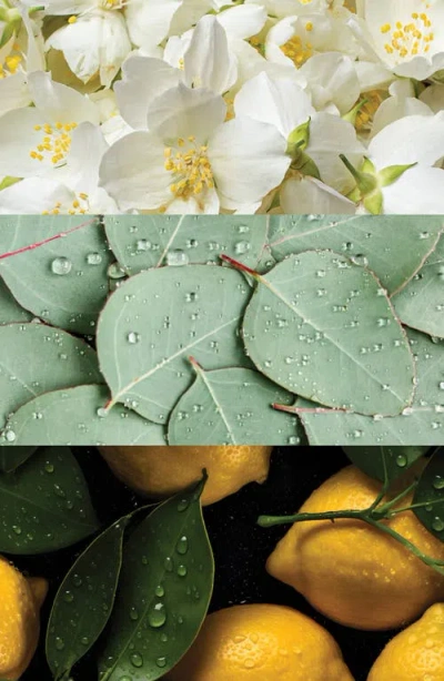 Badgley Mischka Cap D'antibes Extrait De Parfum Twist & Spray Travel Set (nordstrom Exclusive) $100  In White