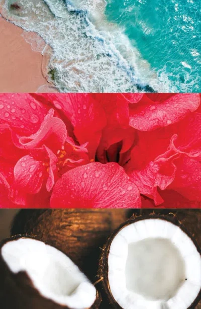 Badgley Mischka Château Vizcaya Extrait De Parfum Set (nordstrom Exclusive) $150 Value In Multi