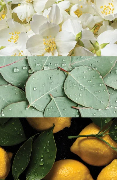 Badgley Mischka Cap D'antibes Extrait De Parfum Set (nordstrom Exclusive) $150 Value In Multi