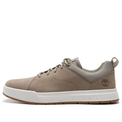 Timberland Maple Grove Trainer 'tan' In Brown