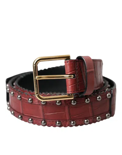 Dolce & Gabbana Brown Alligator Leather Studded Metal Buckle Belt In Red