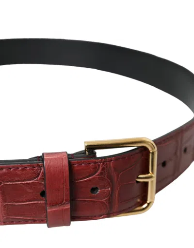 Dolce & Gabbana Brown Alligator Leather Studded Metal Buckle Belt In Red
