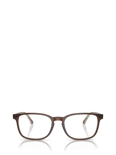 Ray Ban Ray-ban Eyeglasses In Brown