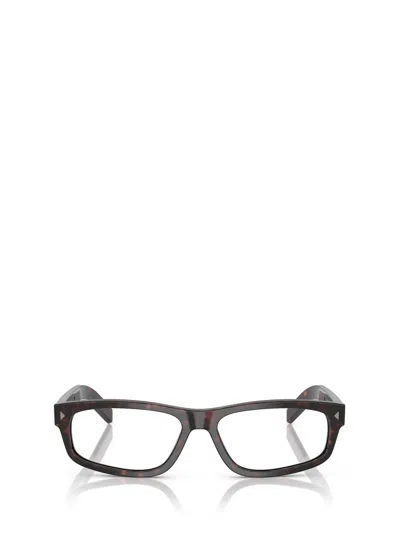 Prada Pr B02v 17n1o1 Root Havana Glasses In Brown