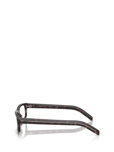 Prada Pr B02v 17n1o1 Root Havana Glasses In Brown