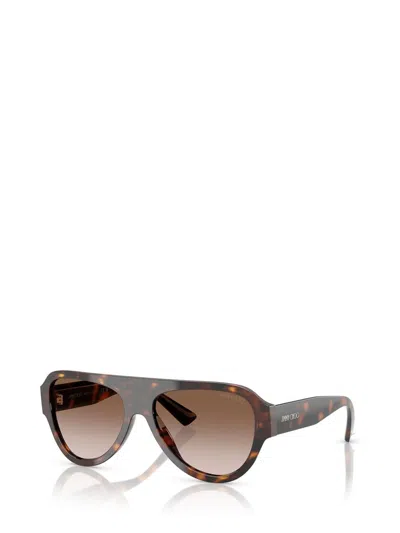 Jimmy Choo Sunglasses In Brown