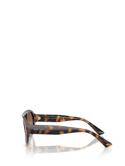 Jimmy Choo Sunglasses In Brown