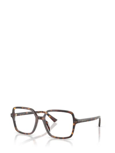 Jimmy Choo Eyeglasses In Brown