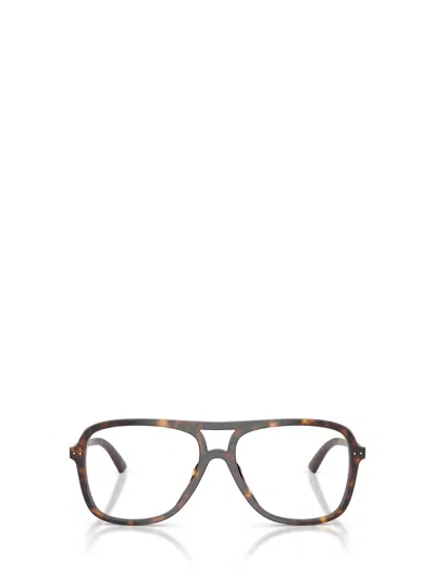 Jimmy Choo Eyeglasses In Brown