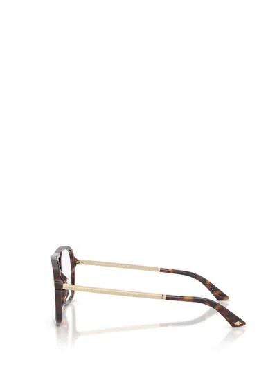 Jimmy Choo Eyeglasses In Brown