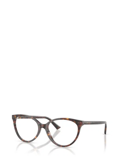 Jimmy Choo Eyeglasses In Brown