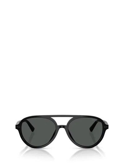 Jimmy Choo Sunglasses In Brown