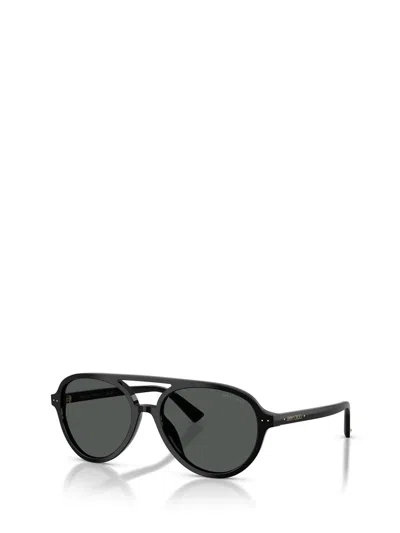 Jimmy Choo Sunglasses In Brown