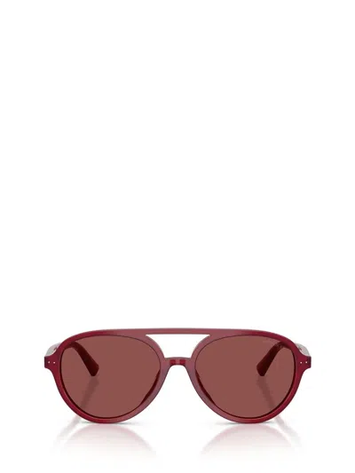 Jimmy Choo Sunglasses In Brown