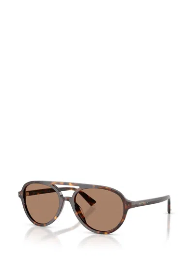 Jimmy Choo Sunglasses In Brown