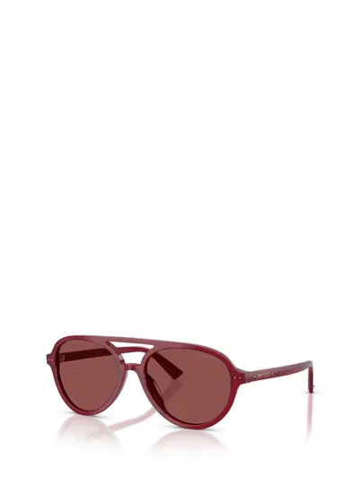 Jimmy Choo Sunglasses In Brown