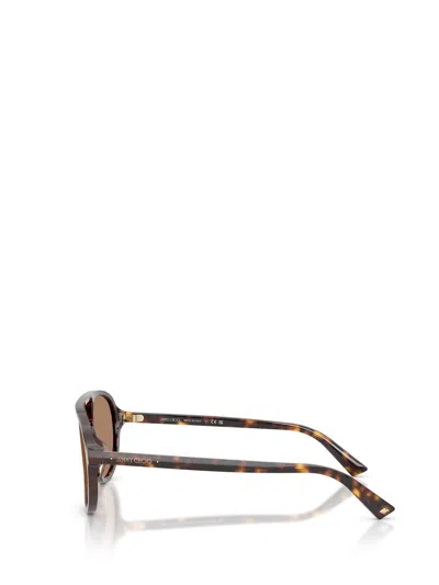 Jimmy Choo Sunglasses In Brown