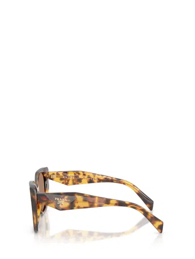 Prada Eyewear Sunglasses In Brown