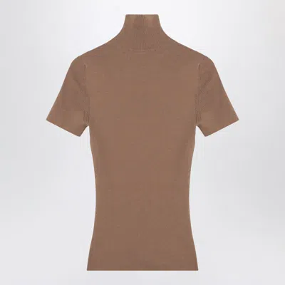 Max Mara Camel Turtleneck In Multi