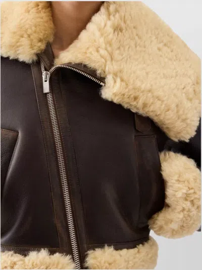 Jacquemus Lamb Shearling Aviator Jacket In Brown