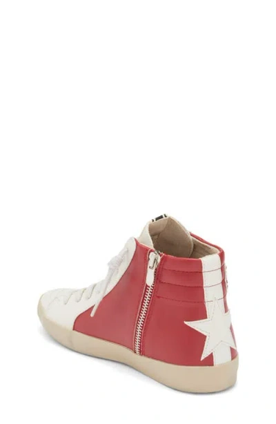 Shushop Kids' Roony High Top Sneaker In Multi