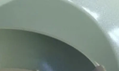 Phantom Chef Set Of 2 Grove Nonstick Fry Pans In Green