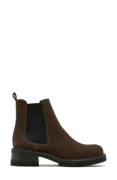 La Canadienne Paxton Waterproof Chelsea Boot In Brunette