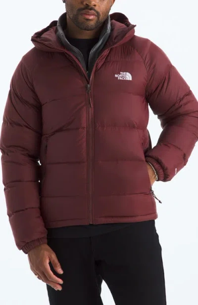 The North Face Hydrenalite Hooded Down Jacket In Red