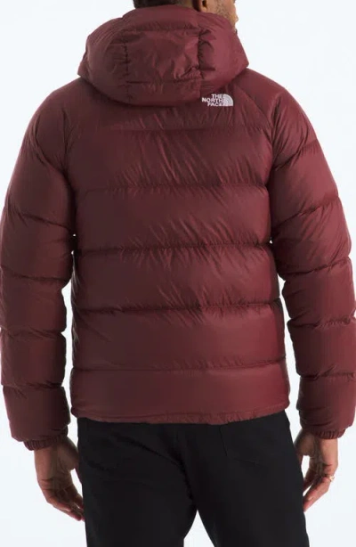 The North Face Hydrenalite Hooded Down Jacket In Red