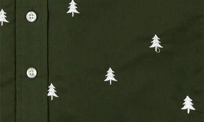 Brooks Brothers Kids Pine Tree Embroidered Cotton Button-down Shirt In Green