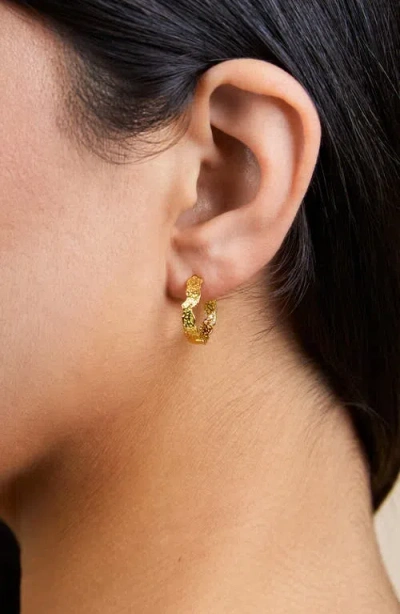 Sterling Forever Mary Textured Hoop Earrings In Gold