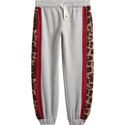 Vintage Havana Leopard Stripe Cotton Joggers In Gray