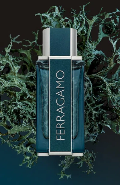 Ferragamo Intense Leather Eau De Parfum $170 Value In Transparent