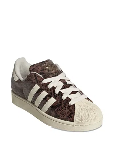 Adidas Originals Adidas Superstar Ii Sneakers In Brown