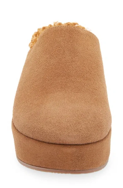 Cordani Camryn Platform Wedge Mule In Brown