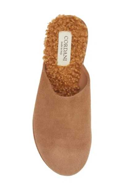 Cordani Camryn Platform Wedge Mule In Brown