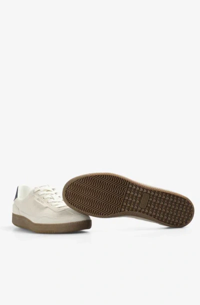 Scalpers Nu Miko Sneakers In Gray