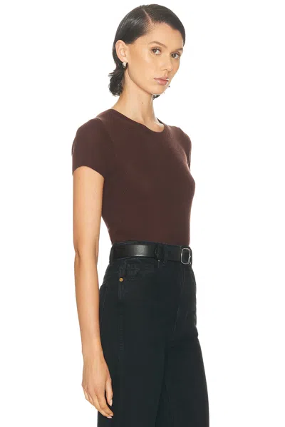 Éterne Rib Stitch Cashmere Baby Tee In Brown