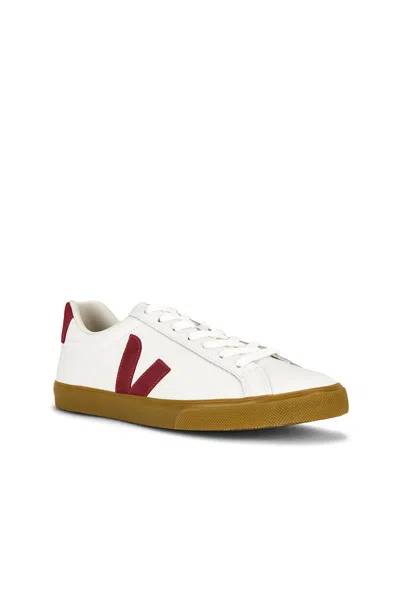 Veja Esplar Sneaker In White