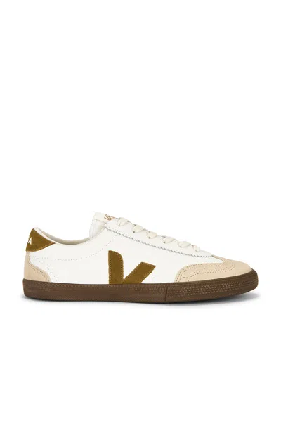Veja Volley Sneakers In Animal Print