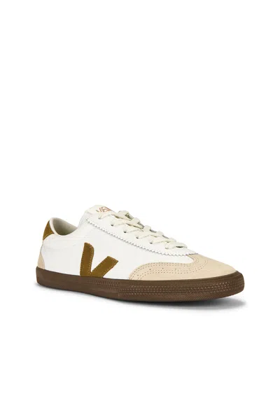 Veja Volley Sneakers In Animal Print