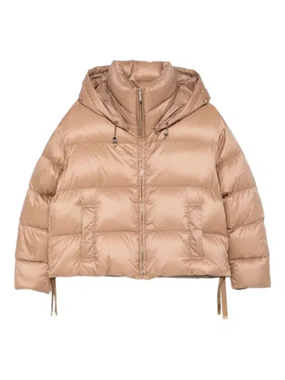 Max Mara Hooded Down Jacket In Water-repellent Fabric In Brown