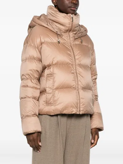 Max Mara Hooded Down Jacket In Water-repellent Fabric In Brown