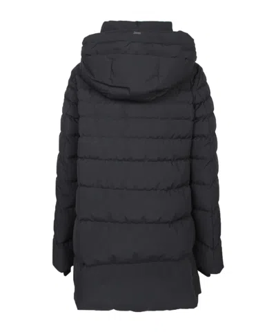 Herno Detachable-hood Padded Coat In Multi