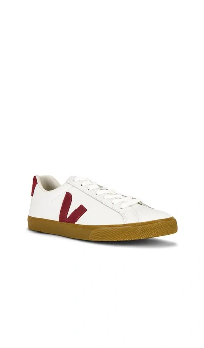 Veja Esplar Sneaker In White