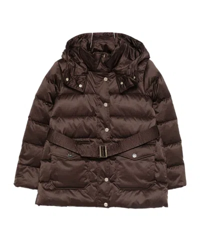 Liu •jo Liu Jo Brown Down Jacket With A Belted Waist In Brown