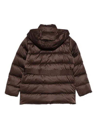 Liu •jo Liu Jo Brown Down Jacket With A Belted Waist In Brown