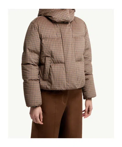 Moncler Quierzy Hooded Short Puffer Jacket In Brown