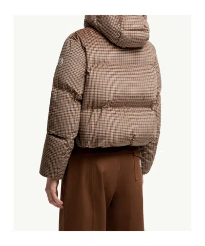 Moncler Quierzy Hooded Short Puffer Jacket In Brown